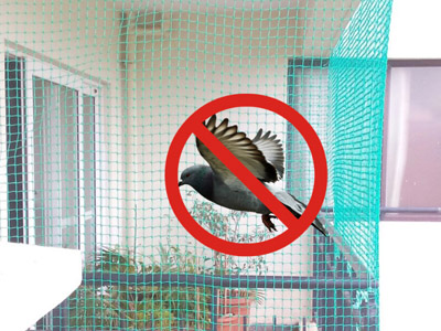 Bird Safety Nets In Pune 