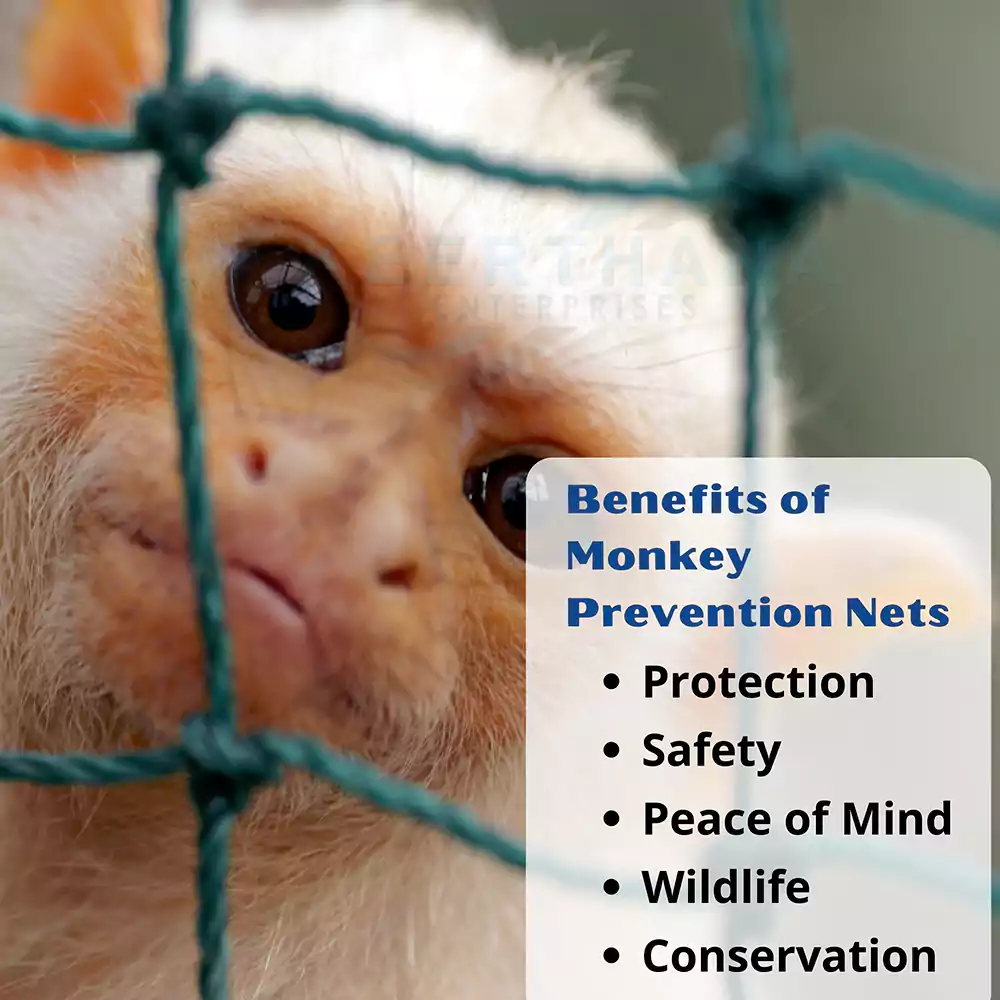 Benefits of Monkey Prevention Nets in Pune