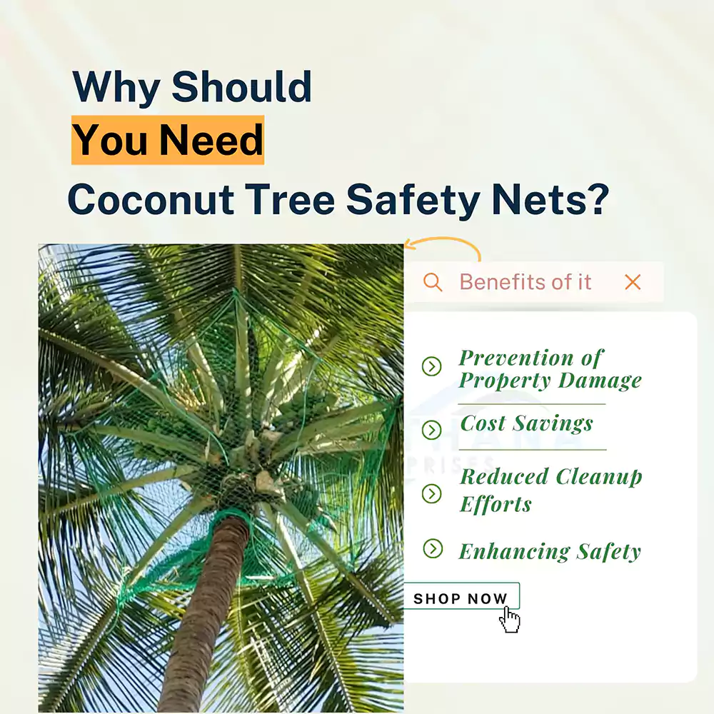 Purpose of Coconut Tree Safety Nets
