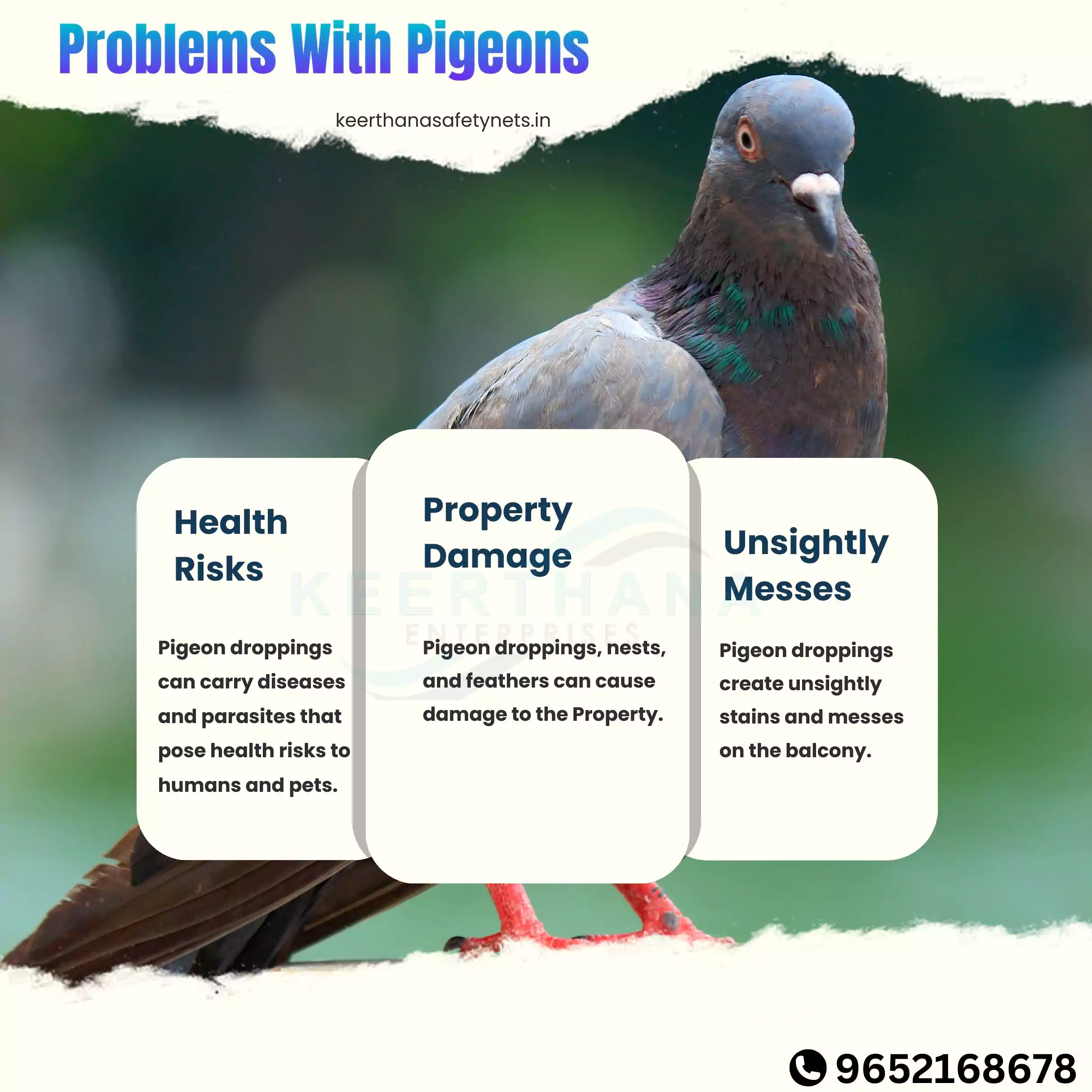 Problems Caused by Pigeons in Balconies