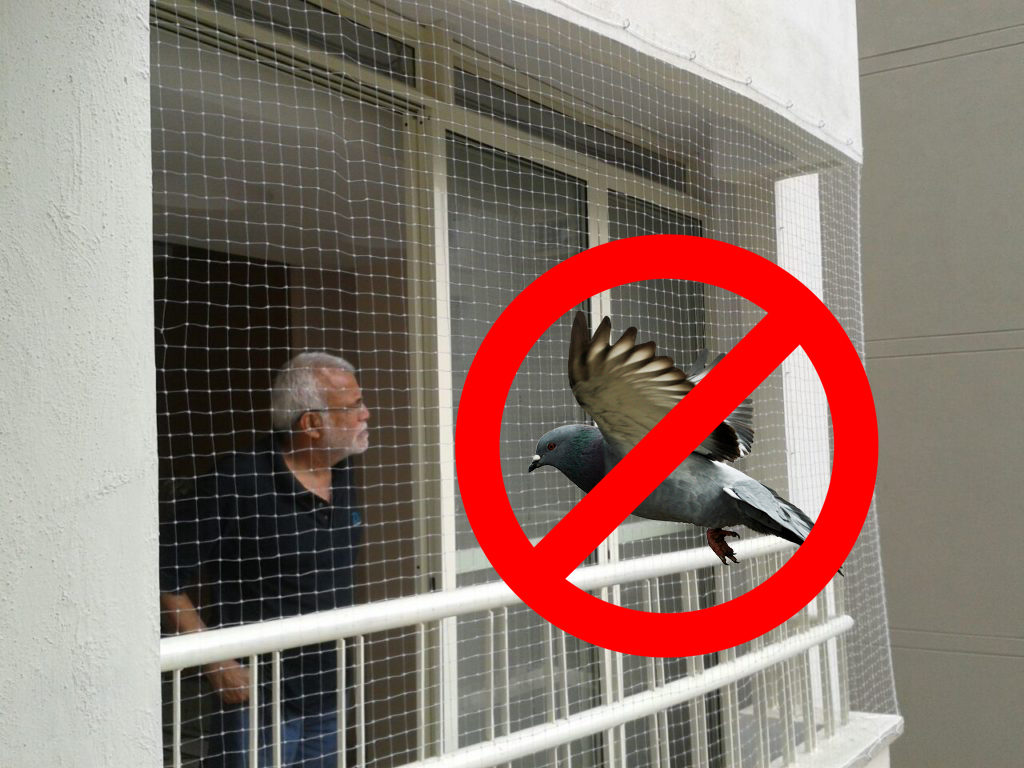 anti bird net installation